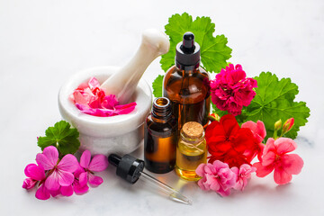 Geranium flower and geranium essential oil