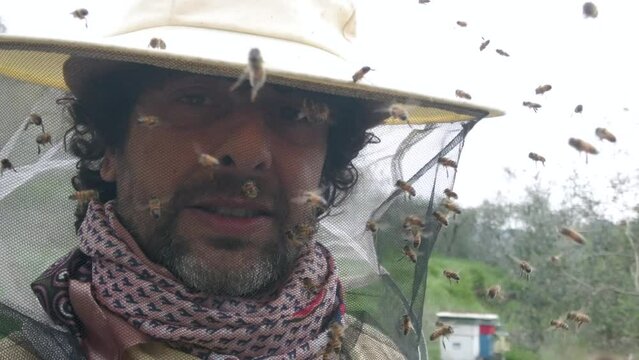 bee protection suit and hat- Beekeeper raises bees in the countryside for the production of honey - hives and beehives in nature  - climate change and global warming concept 