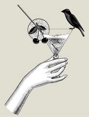 A woman's hand holds a cocktail in a glass with a slice of lemon, cherries and a sitting bird. Vintage engraving stylized drawing. Vector illustration