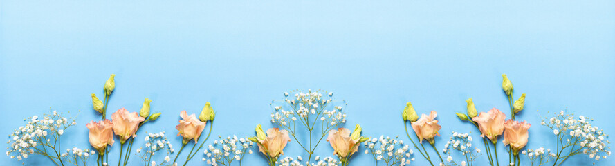 Spring banner. Row of delicate flowers of Gypsophila and Eustoma on bottom of light blue. Copy space
