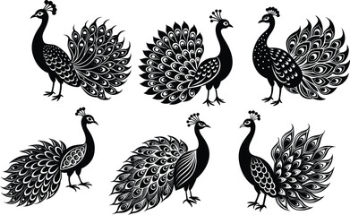Set of Peacock Silhouette Vector Illustration