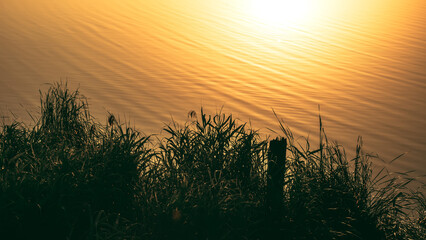 Landscape with grass on the shore of a lake and warm sunlight - 781409468