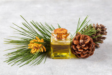Pine turpentine essential oil in glass bottle with pine coniferous leaves and pine cone. Kiefer...