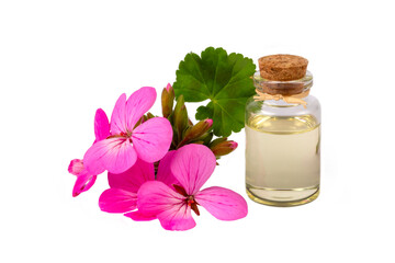 Geranium flower and geranium essential oil