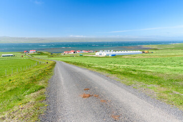 Gravel back road lined with grassy fields and farm buildings on the northern coast of Iceland on a sunny summer day