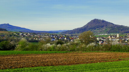 Fototapeta premium Panorama auf Engen im Hegau im Frühling mit Feldern, Bergen und blühenden Bäumen unter blauem Himmel