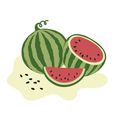 Watermelon flat simple vector illustration. Fresh green natural and organic fruit. Isolated.