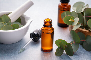 Eucalyptus leaves and essential oil