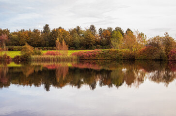 Colourful Autumn reflection of vegetation on Caldecotte lake in November