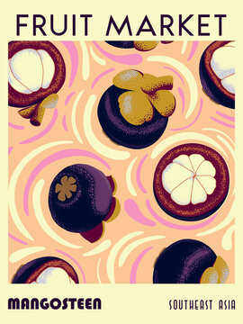 Mangosteen Fruit Market retro poster. Handmade drawing vector illustration. Can be used for posters, banners, postcards, books etc.