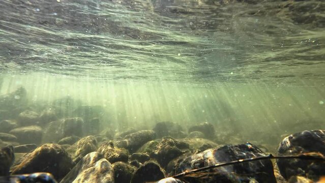 Unterwasservideo von einem Bach mit Steinen und Sonnenstrahlen im fließenden Wasser