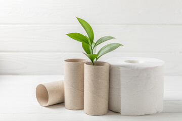 Empty toilet paper roll. Empty toilet paper rolls and plant for on white background. Paper tube of...