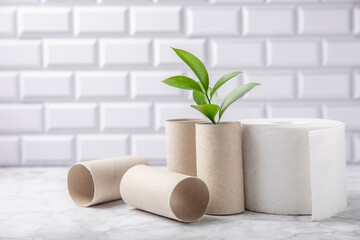 Empty toilet paper roll. Empty toilet paper rolls and plant for on marble background. Paper tube of toilet paper. Place for text. Copy space. Flat lay. Eco-friendly reuse recycle - obrazy, fototapety, plakaty