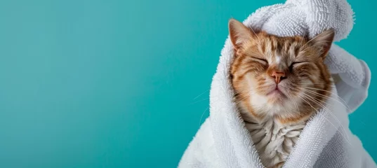 Papier Peint photo Lavable Salon de massage Cute smiling cat with a white towel on its head, relaxing and having a spa day at a beauty salon isolated over a turquoise background with copy space for your design or text, banner template.