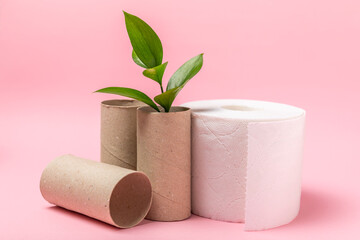 Empty toilet paper roll. Empty toilet paper rolls and plant for on pink background. Paper tube of toilet paper. Place for text. Copy space. Flat lay. Eco-friendly reuse recycle