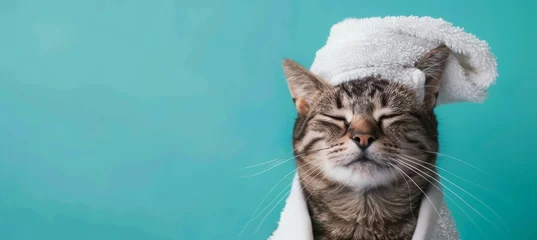 Printed roller blinds Massage parlor Cute smiling cat with a white towel on its head, relaxing and having a spa day at a beauty salon isolated over a turquoise background with copy space for your design or text, banner template.
