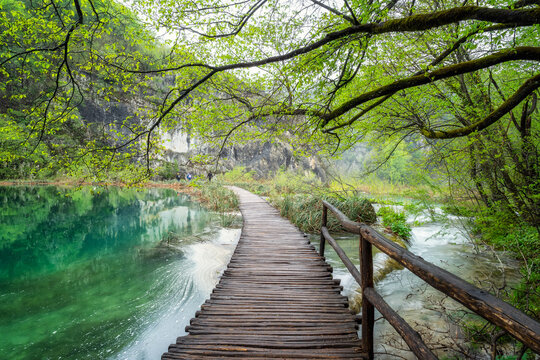 Amazing picture with picturesque lakes in the green spring forest of Plitvice national park in Croatia. 