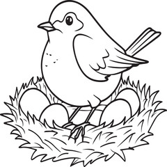Robin coloring pages. Robin bird outline pages for coloring book