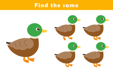 Find same picture worksheet for kids. Worksheet for kids kindergarten, preschool and school age. Education game for children with cute duck illustration.	