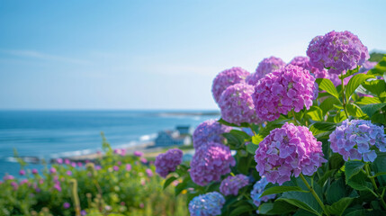 Purple and Pink Hydrangeas Against the Cape Cod Waters.