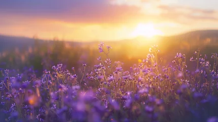 Zelfklevend Fotobehang Landscape of sunset over a field of purple wild grass and flowers, capturing cool purple tones. © Amit