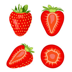 A set of cut fresh strawberries. Vector illustration isolated on white background