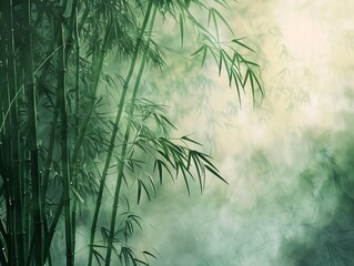 Misty Bamboo Morning