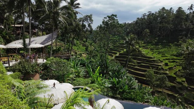 Tegalalang Rice Terrace, Ubud, Bali, Indonesia.