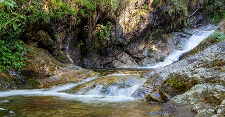 River stream throug rainforest in North Thailand in Doi Inthanon National Park.