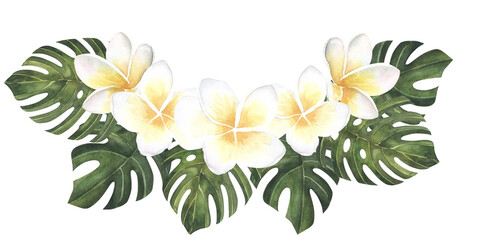 Plumeria pink Flowers and monstera leaves watercolor illustration. Hand drawn sketch of Frangipani bouquet. Tropical border with exotic plants spa invitations, greeting cards design. Blooming jungle. © Elena