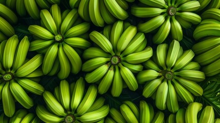 A Pattern of Fresh Green Bananas