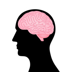 Obraz premium Brain. Head with Human Brain. Vector Illustration Isolated on White Background. 