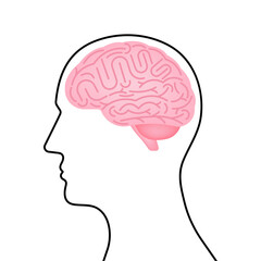 Brain. Head with Human Brain. Vector Illustration Isolated on White Background. 