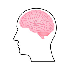 Brain. Head with Human Brain. Vector Illustration Isolated on White Background. 