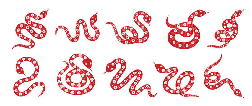Chinese New Year snake design vector set. Element zodiac sign year of the snake with cherry blossom flower pattern on snake red color. Illustration design of background, card, sticker, calendar.