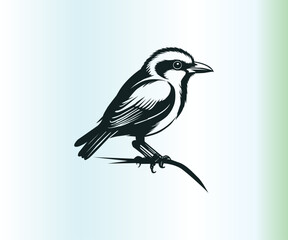 A bird illustration on a tree branch, logo, illustration, vector.