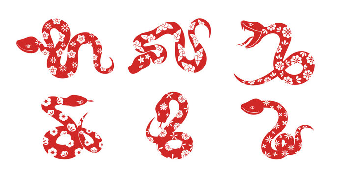 Chinese New Year snake design vector set. Element zodiac sign year of the snake with cherry blossom flower pattern on snake red color. Illustration design of background, card, sticker, calendar.