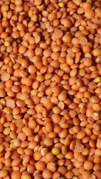 Slow motion of beautiful peeled, natural dried lentils rotating on a plate. Close-up of red lentils. Organic orange coloured seeds, healthy lifestyle, high protein product concept with copy space.