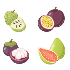 fruit set on transparent background	