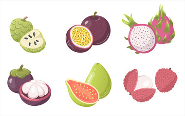 fruit set on transparent background