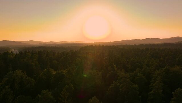 AERIAL, LENS FLARE: Flight above lush forest trees towards golden setting sun. Sun slowly descends over dense woodland, casting warm hues across treetops and illuminating natural beauty of landscape.