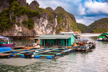 Floating fishing village in sea bay in Vietnam, boats and islands - 781464274