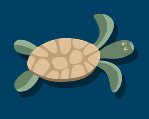 Vector isolated illustration of a turtle.