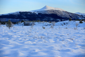 The peatland in Gule-/Stavikmyrane nature reserve in winter (More og Romsdal, Norway). - 781468292
