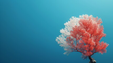 A minimalist style of an ocean coral 