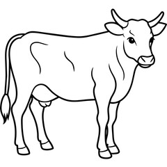     cow vector illustration
