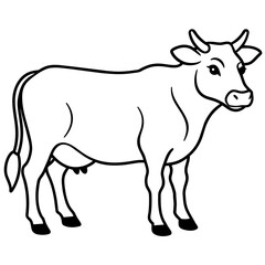     cow vector illustration
