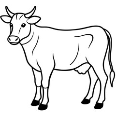     cow vector illustration
