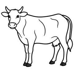 Fototapeta premium cow vector illustration 
