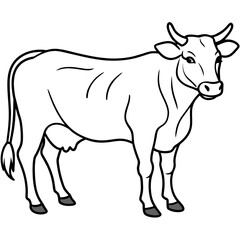     cow vector illustration
